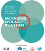A universal model for the adoption of a team approach to wound care